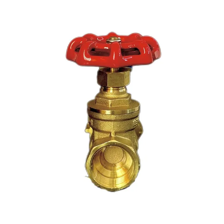 _20240702104020(001)