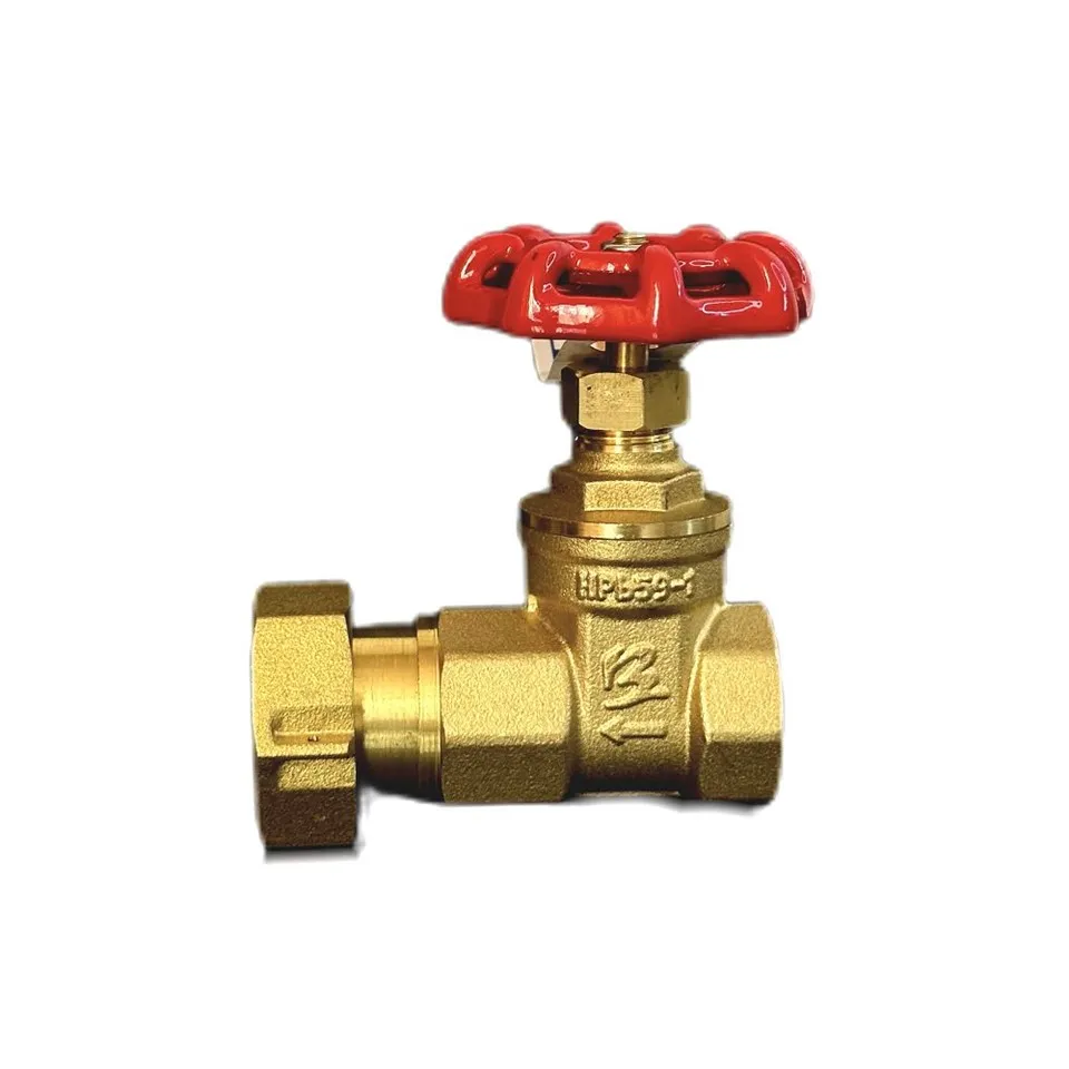 Brass Vertical Check Gate Valve