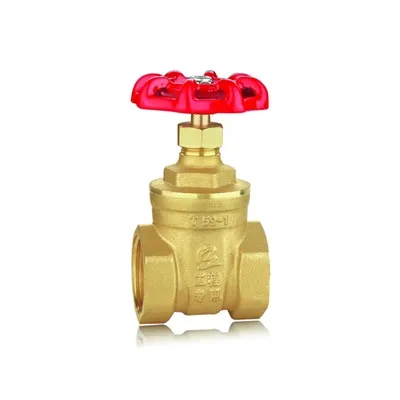 Jakie są zastosowania zasuw dwupłytowych?